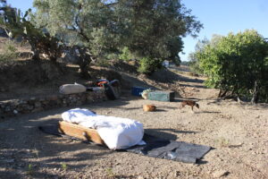 Image 2 Bed space under star light