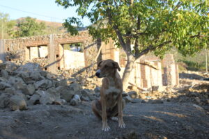 Image 3 Flynn is pregnant again