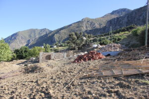 10 MC with future garden and plans to produce our own organic food