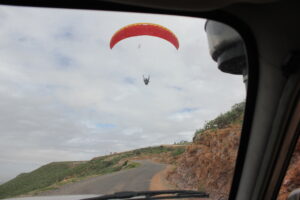 Hopefully this is part of the future.