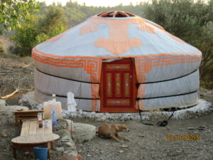 Our First Yurt. All the way from Mongolia to Farm Finn.