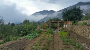 New beds and stormy weather