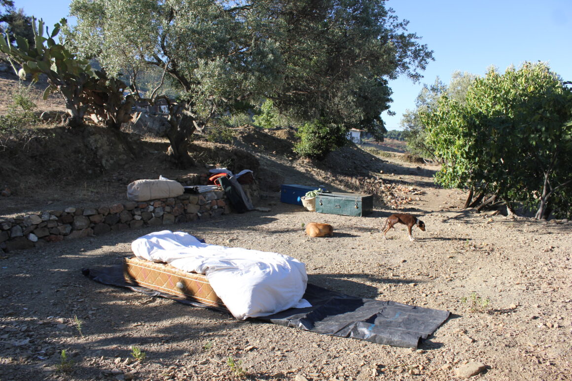 August 2014 A return to Base Camp