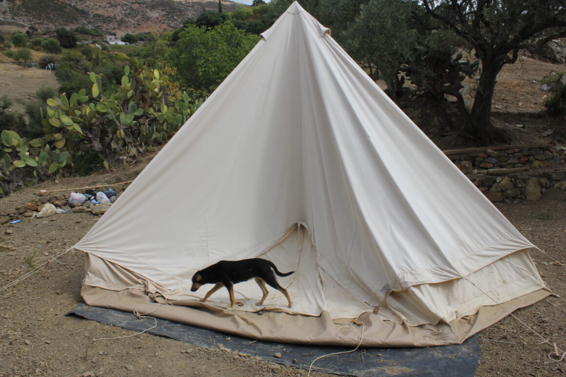 August 2014…And the work continues