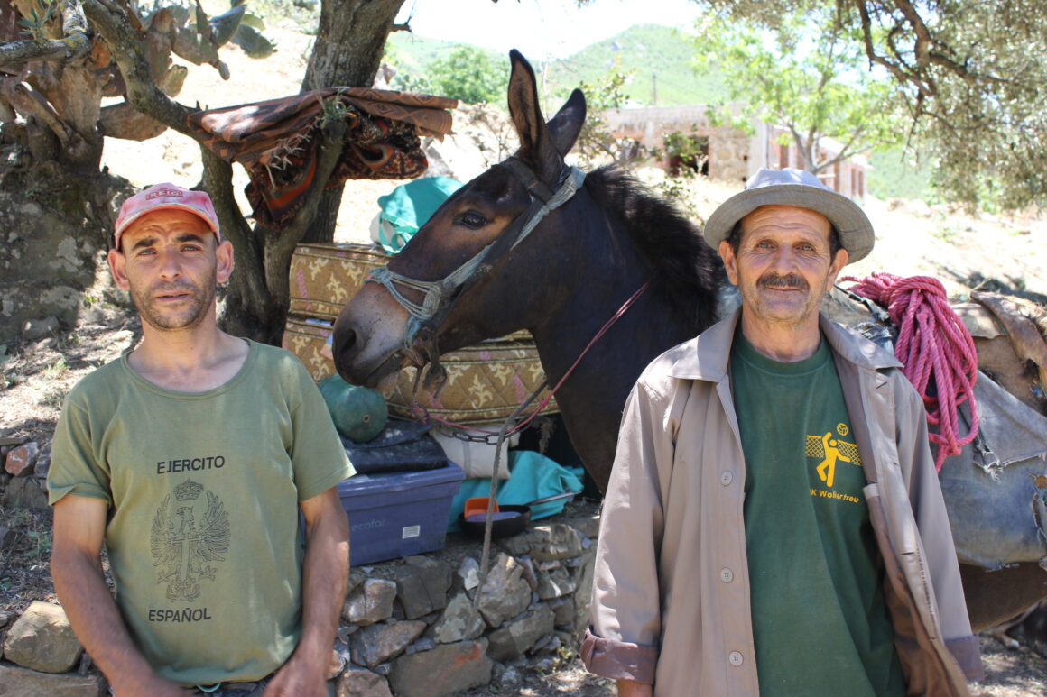 June 2015 Back to the begining