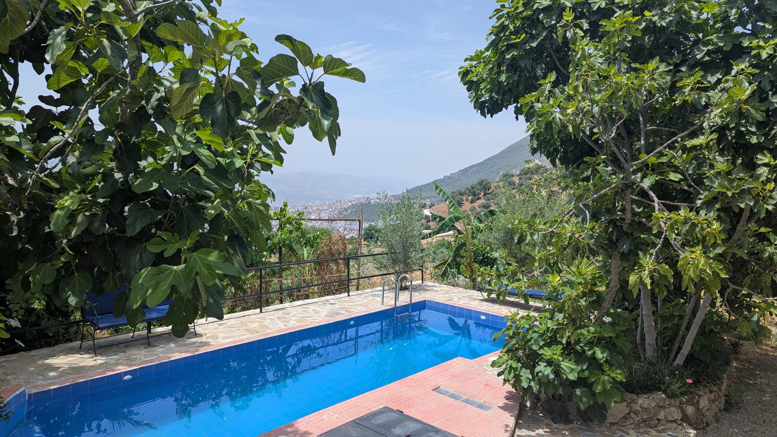 A picture of the swimming pool at Farm Finn overlooking the city of Chefchauen